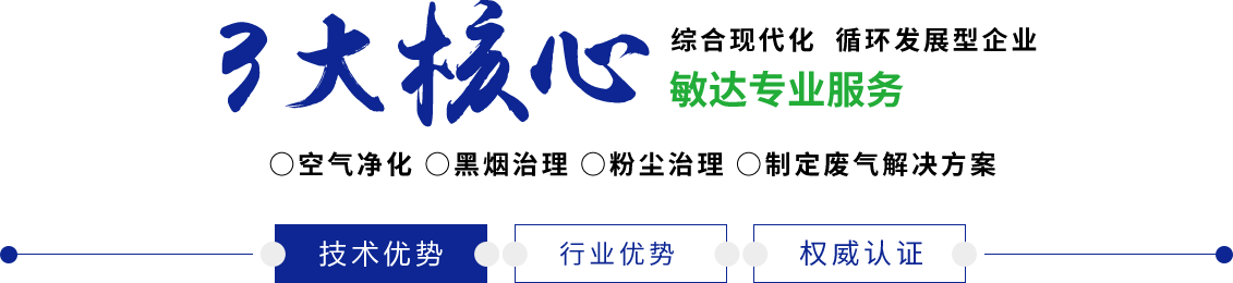 逼逼想要操敏达环保科技（嘉兴）有限公司